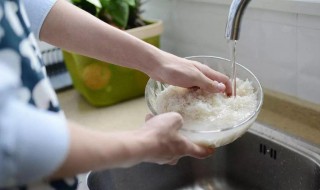 淘米水浇花需要发酵吗(淘米水发酵后臭了还能浇花吗)