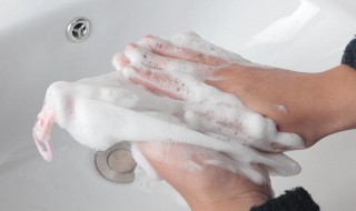 洗面奶要用起泡网吗 洗面奶起泡器有必要吗