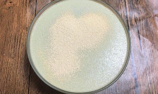 酵母的作用与功效 高活性干酵母使用方法