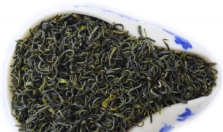 东白春芽是什么茶 东白山春茶