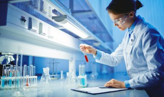 酵母菌是真菌还是细菌（乳酸菌是真菌还是细菌）