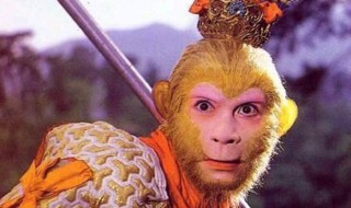 孙悟空人物简介及性格特点(孙悟空人物简介性格特点原文)