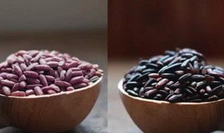 黑米和紫米有什么区别 黑米的功效和作用