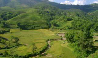土地资源的功能包括什么（土地资源的功能包括什么内容）