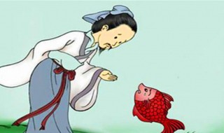 庄子和老子的思想区别是什么（老子庄子思想的区别的原因）