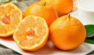 粑粑柑冻了有点苦能吃吗 粑粑柑冻了有点苦能吃吗