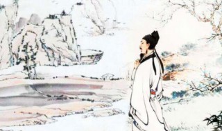 苏轼诗的特点和风格是什么（苏轼诗的特点 风格）