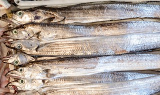 带鱼白膜怎么去除小妙招(怎样快速去除带鱼白膜)