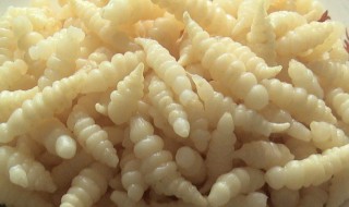 清洗螺丝菜的方法妙招（清洗螺丝菜的方法妙招有哪些）