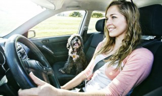 怎样清洁汽车皮座椅妙招（车内皮质座椅清洗小妙招）