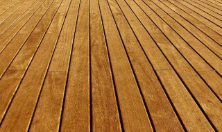 扫木地板上的灰有妙招吗(扫木地板上的灰有妙招吗视频)