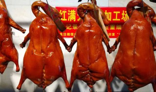 做烧鹅有什么妙招（做烧鹅用什么鹅最好）