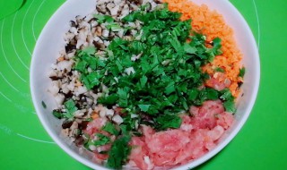 猪肉香菇饺子馅做法大全（韭菜猪肉饺子的做法）