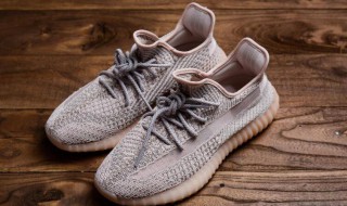 天使和满天星的区别 满天星和天使有什么区别哪个更好