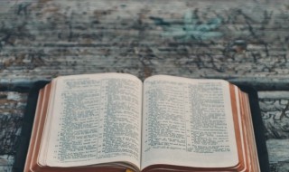 蜗字组词（窝字组词）