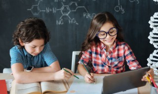 马并读什么（马并读什么字）