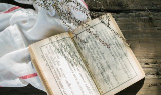 gala怎么读（gala怎么读英语）