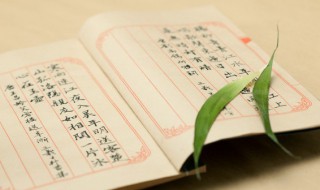 春日游杏花吹满头的意思（春日游杏花满枝头）