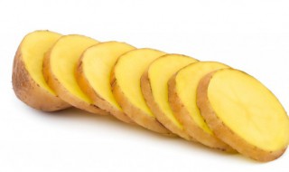 哪种粮食是明朝时从美洲传入我国的 哪种粮食是明朝时从美洲传入我国的蚂蚁庄园