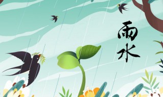 雨水有哪些习俗（雨水的含义和风俗）