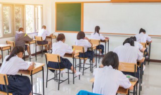 关于友情的故事（关于友情的故事简短）