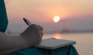 申可以组什么词（肃可以组什么词）