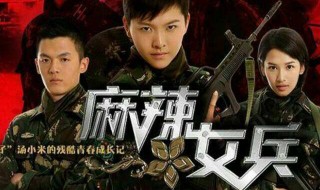 麻辣女兵的演员有哪些 麻辣女兵的演员有哪些名字