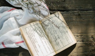 李世民和亲的公主有哪些（李世民和亲的公主有哪些人）