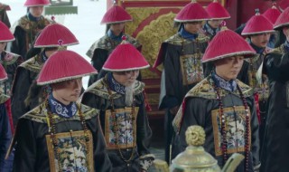 清朝官员品级有哪些（清朝官员品级有哪些人）