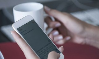 微信文件打不开要下载什么软件（微信文件打不开要下载什么软件qing）