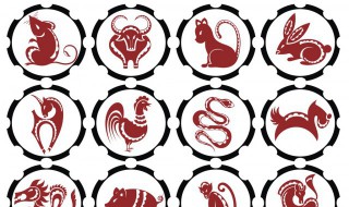 小肚鸡肠是什么生肖（小肚鸡肠是什么生肖动物）