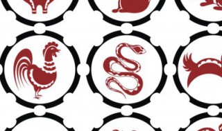 目中无人是什么生肖（欲钱买目中无人是什么生肖）