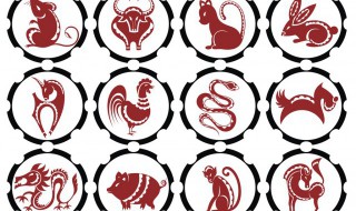 忍辱负重是什么生肖（忍辱负重是什么生肖和数字）