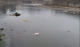 水泥厂有什么污染（水泥厂有什么污染环境）