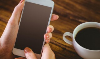 苹果6s用什么手机管家（苹果6s用什么手机管家好）