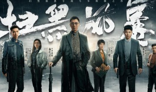 扫黑风暴一共几集?（扫黑风暴一共几集完结）
