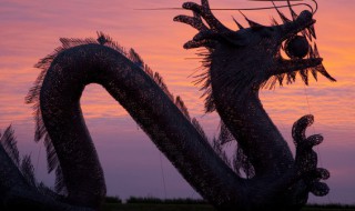 水火不容是什么生肖（水火不容是什么生肖 百度网盘）