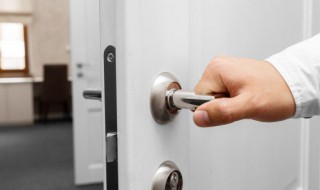 玄关摆什么植物风水好（玄关摆什么植物风水好呢）