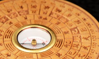 养宠物的风水讲究（养宠物风水忌讳）