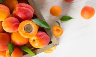 八字中代表食物的万物类象 十二地支在八字中的万物类象