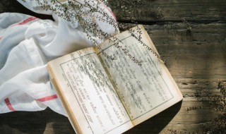 小篆是什么朝代的文字 小篆是什么朝代的文字呢