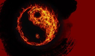 仙人球摆放的风水讲究 仙人球摆放的风水讲究图解