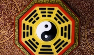 弃命从势格详解（弃命从才格）