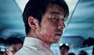 釜山行演员表(韩国电影釜山行演员表)