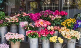 家居鲜花摆放风水（家居鲜花摆放风水好不好）