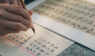 埠少个土读什么（埠少一个土读什么）