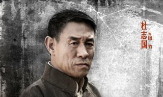 雪鹰演员表（雪鹰演员表雪鹰领主演员表）