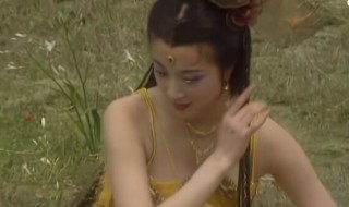 西游记续集演员表 西游记续集演员表徐少华演了几集