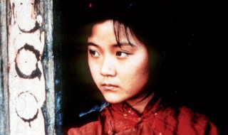 黄土地演员表 黄土地 剧照