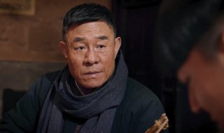 区小队演员表 区小队演员表介绍